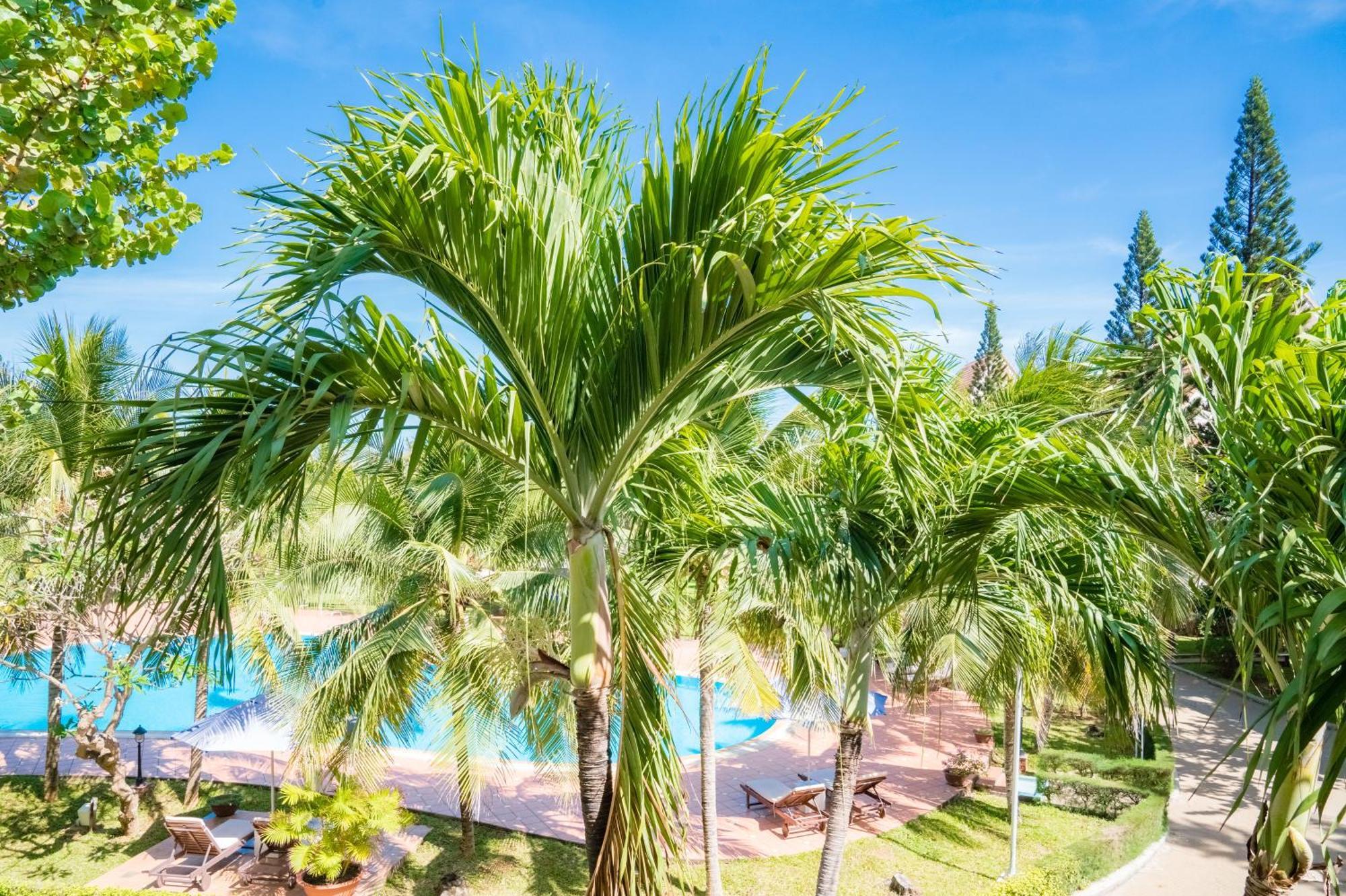 Lotus Vung Tau Resort & Spa Bagian luar foto